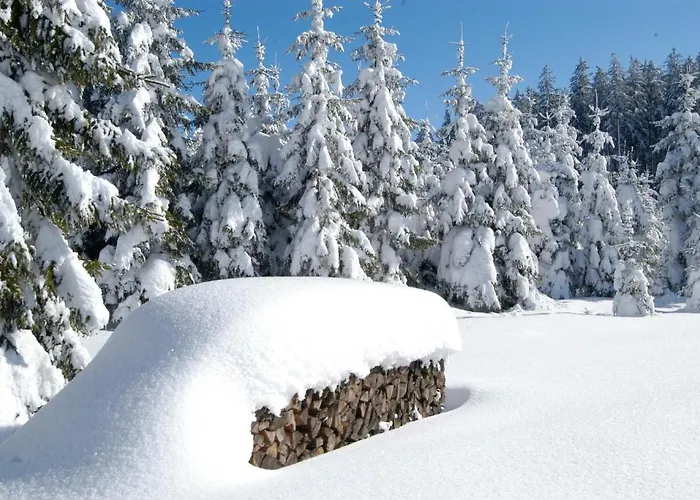 ベッド・アンド・ブレックファスト Gaestehaus Familie Grudl